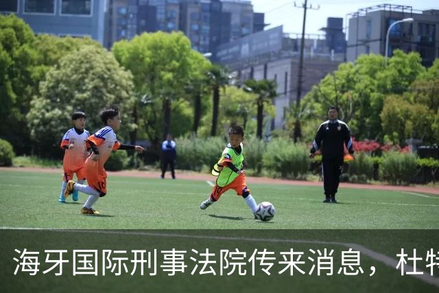 海牙国际刑事法院传来消息，杜特尔特案出现了意想不到的变数！